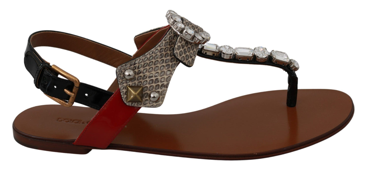 Sandales en cuir et cristaux Dolce & Gabbana
