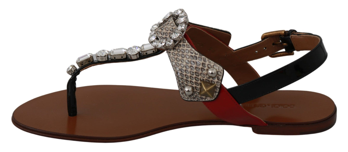 Sandales en cuir et cristaux Dolce & Gabbana