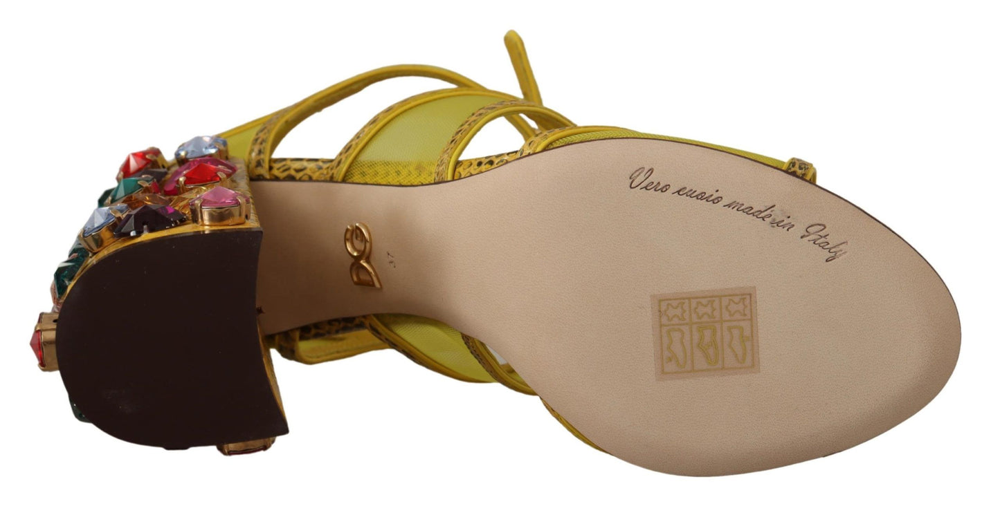 Sandales Ayers en cuir jaune et cristaux Dolce & Gabbana