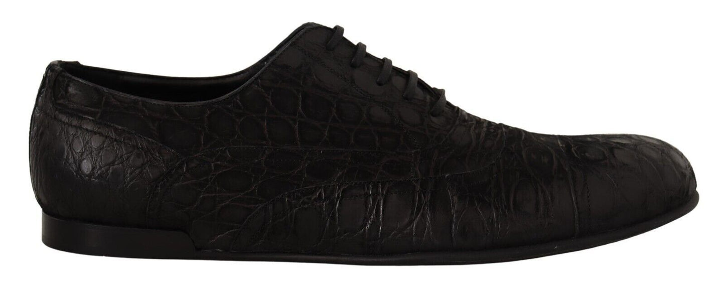 Chaussures Oxford Dolce & Gabbana en cuir noir Caïman pour homme