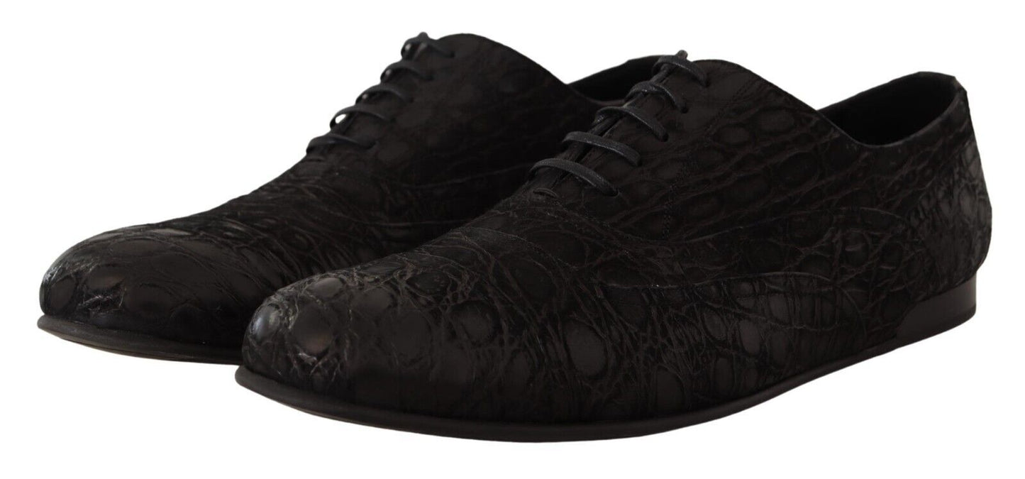 Chaussures Oxford Dolce & Gabbana en cuir noir Caïman pour homme