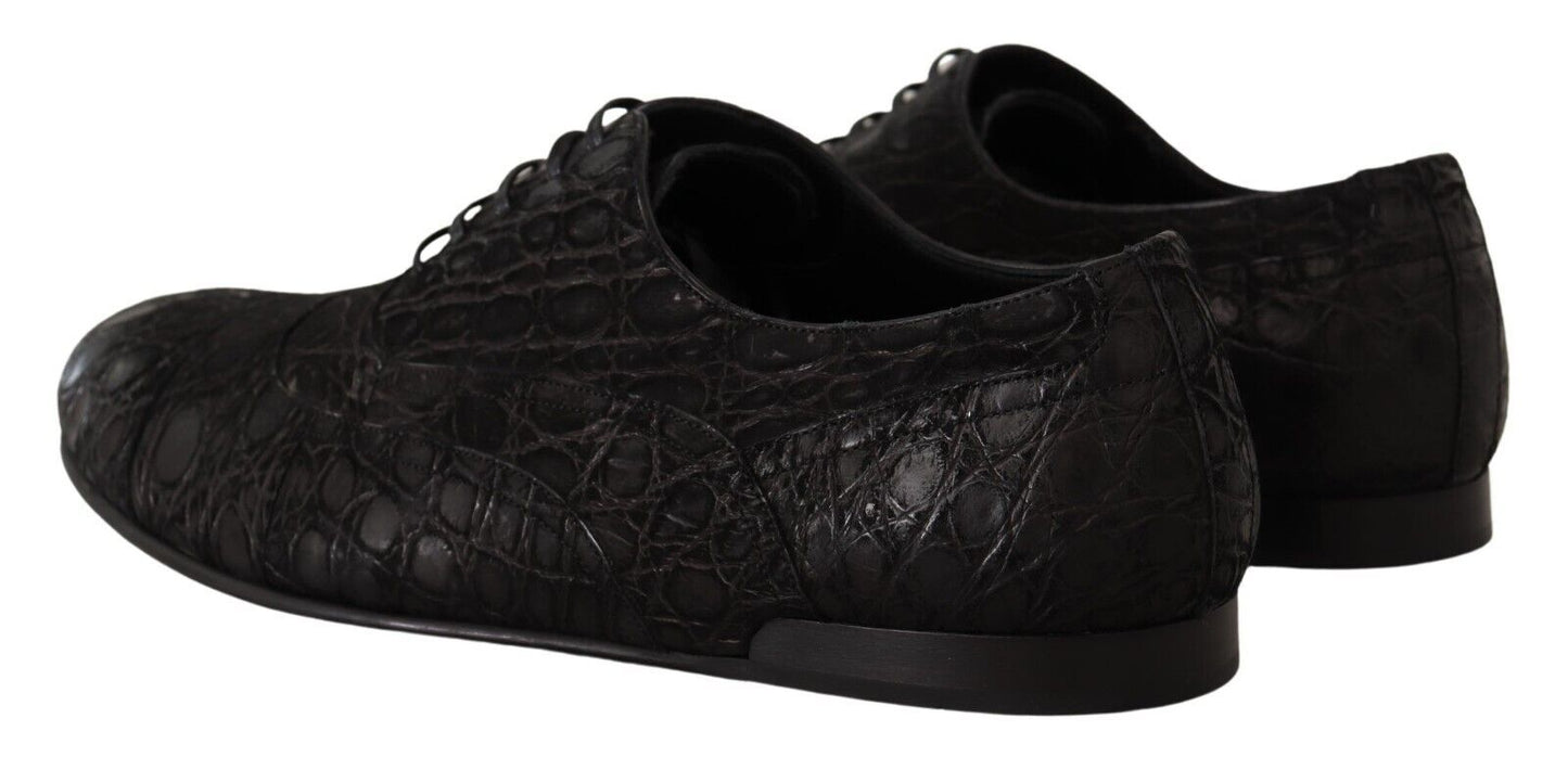 Chaussures Oxford Dolce & Gabbana en cuir noir Caïman pour homme