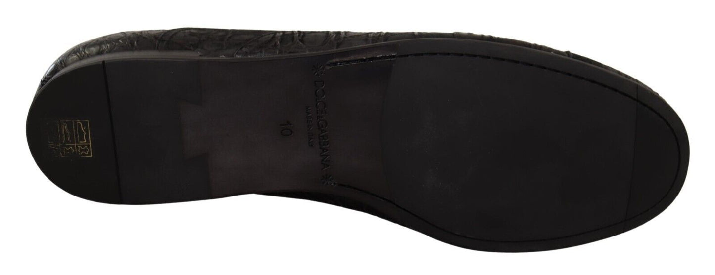 Chaussures Oxford Dolce & Gabbana en cuir noir Caïman pour homme