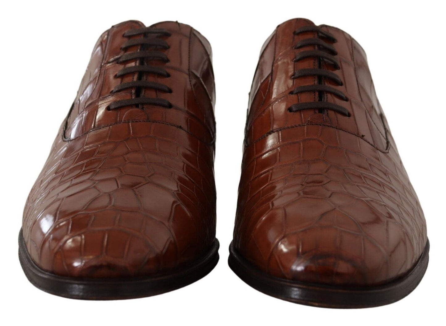 Chaussures Derby habillées pour homme en cuir de crocodile marron Dolce & Gabbana