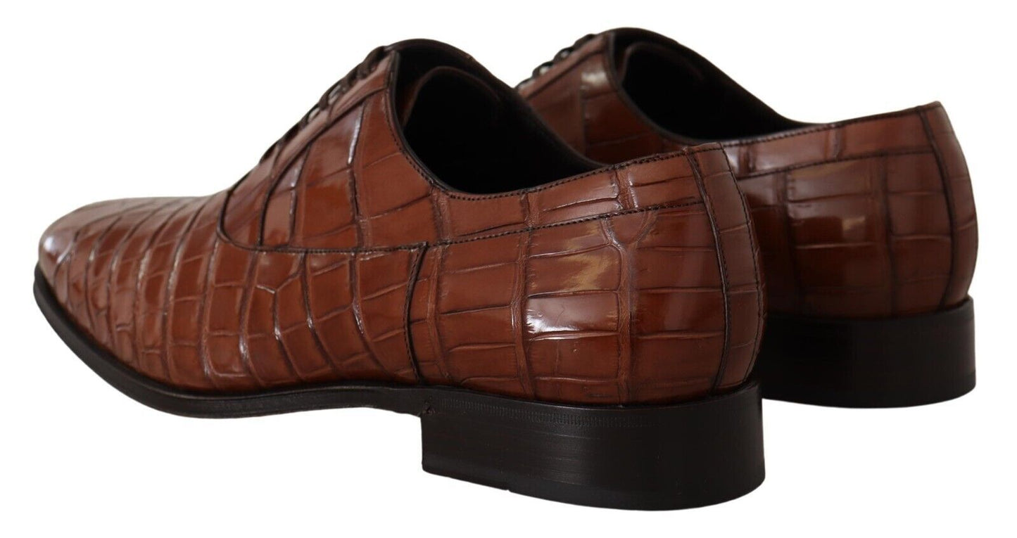 Chaussures Derby habillées pour homme en cuir de crocodile marron Dolce & Gabbana