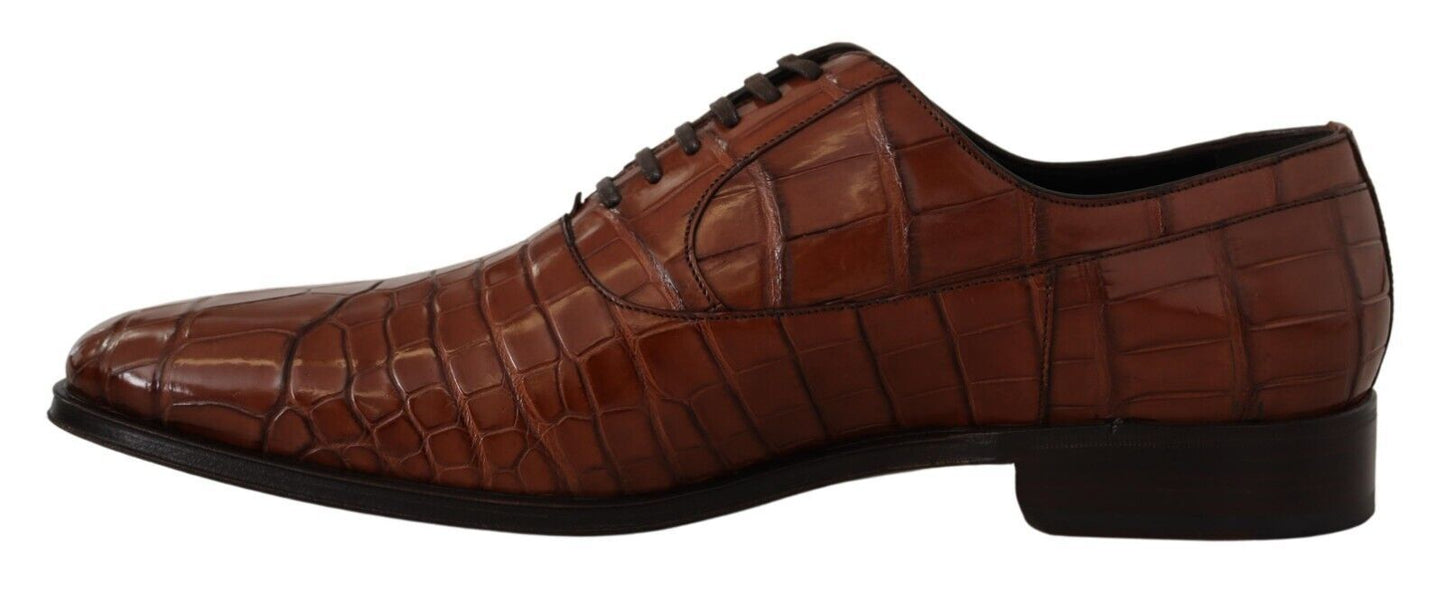 Chaussures Derby habillées pour homme en cuir de crocodile marron Dolce & Gabbana