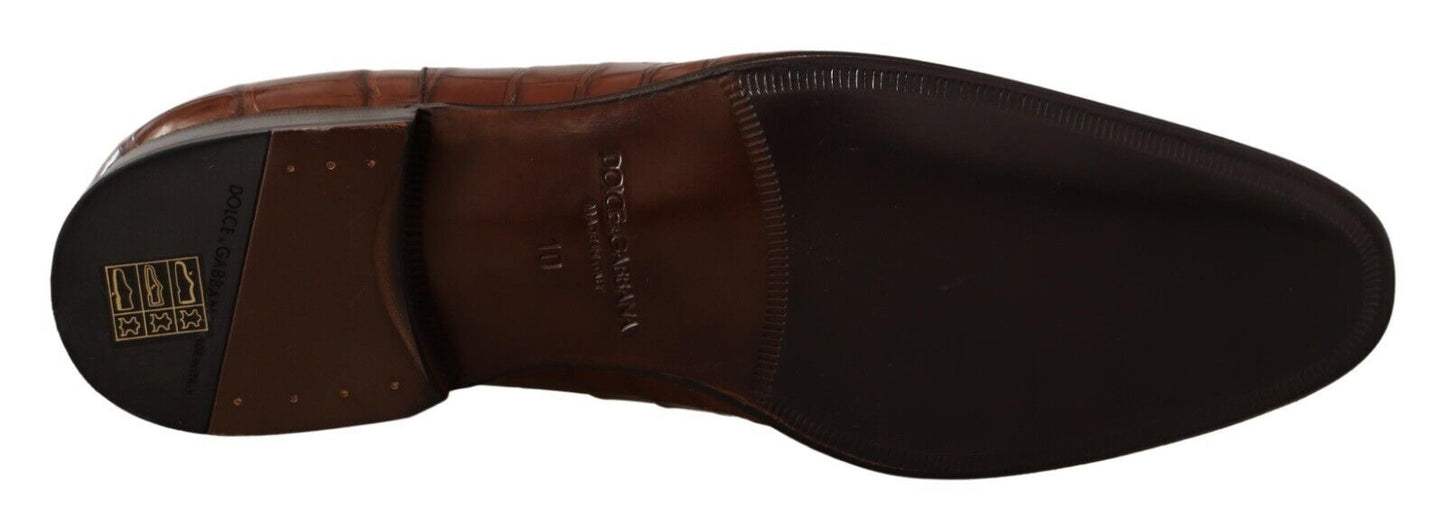 Chaussures Derby habillées pour homme en cuir de crocodile marron Dolce & Gabbana