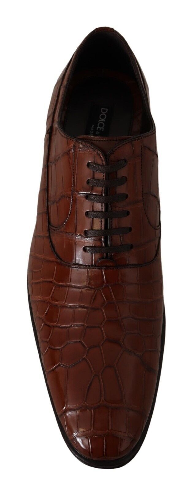 Chaussures Derby habillées pour homme en cuir de crocodile marron Dolce & Gabbana
