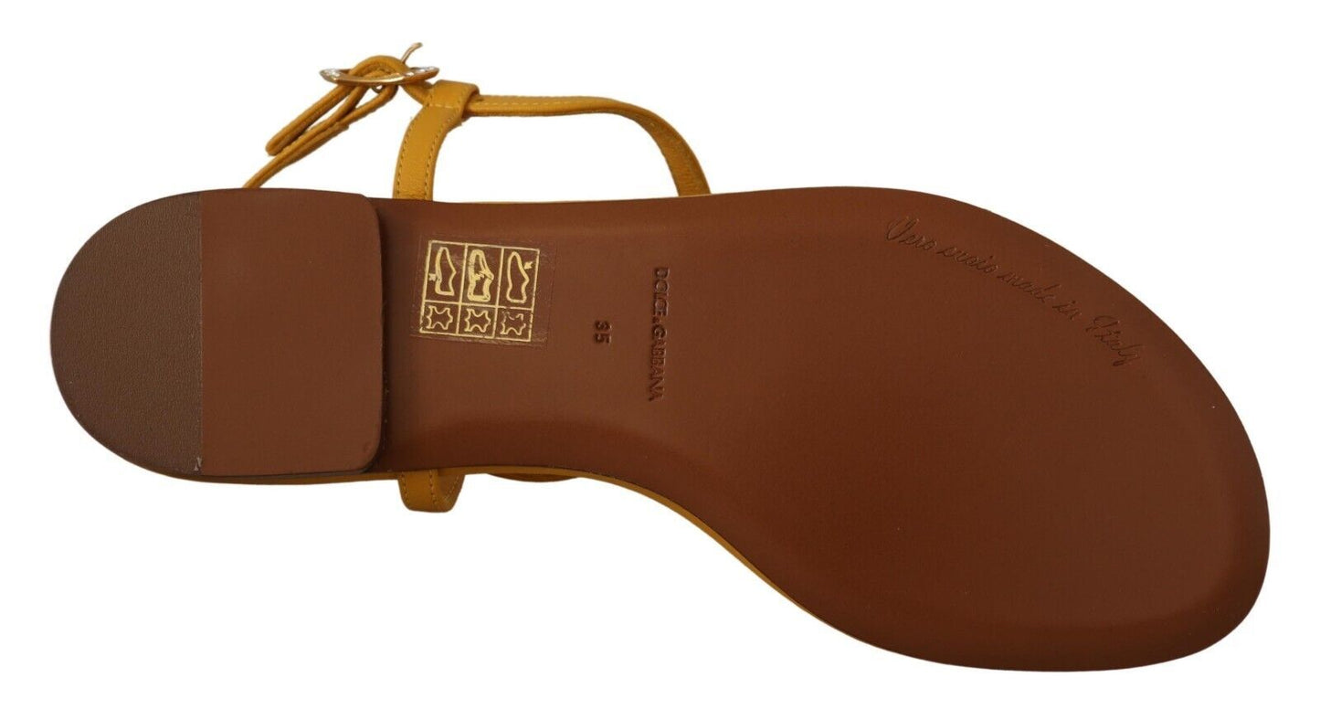 Sandales plates Dolce & Gabbana en cuir moutarde Devotion