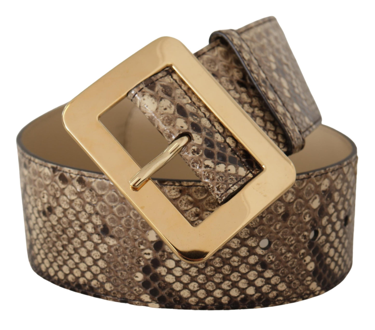 Ceinture large en cuir exotique marron Dolce & Gabbana avec boucle en métal doré