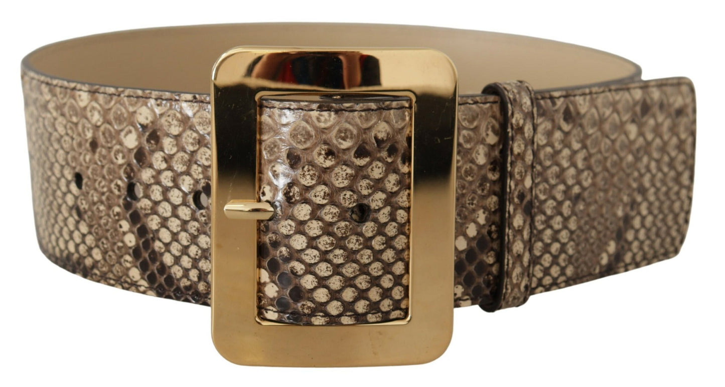 Ceinture large en cuir exotique marron Dolce & Gabbana avec boucle en métal doré