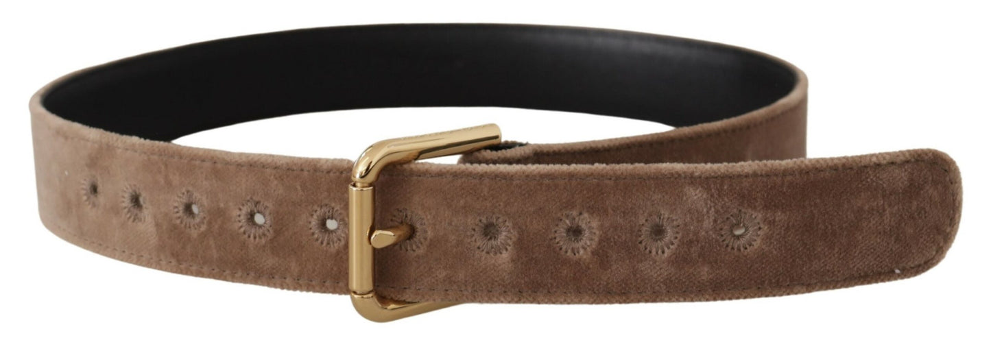 Ceinture Dolce & Gabbana en velours marron clair avec logo doré et boucle en métal