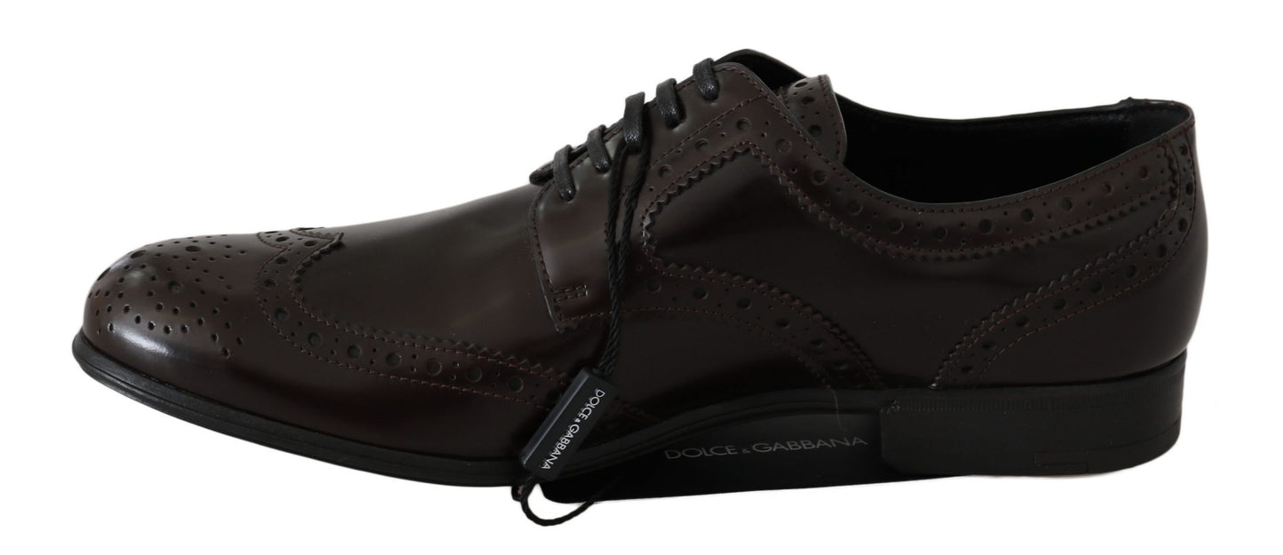 Chaussures Oxford à bout golf Broques en cuir marron Dolce & Gabbana