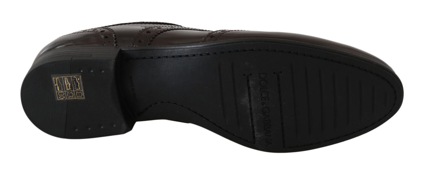 Chaussures Oxford à bout golf Broques en cuir marron Dolce & Gabbana