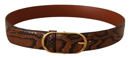 Ceinture Dolce &amp; Gabbana en cuir exotique marron avec boucle ovale dorée