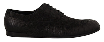 Chaussures Oxford Dolce &amp; Gabbana en cuir noir Caïman pour homme