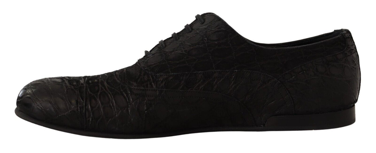 Chaussures Oxford Dolce &amp; Gabbana en cuir noir Caïman pour homme