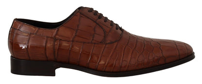 Chaussures Derby habillées pour homme en cuir de crocodile marron Dolce &amp; Gabbana
