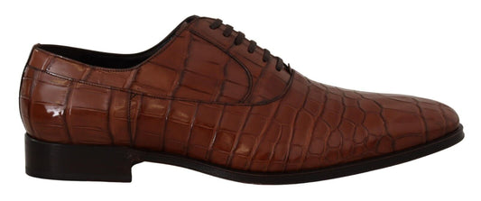 Chaussures Derby habillées pour homme en cuir de crocodile marron Dolce &amp; Gabbana
