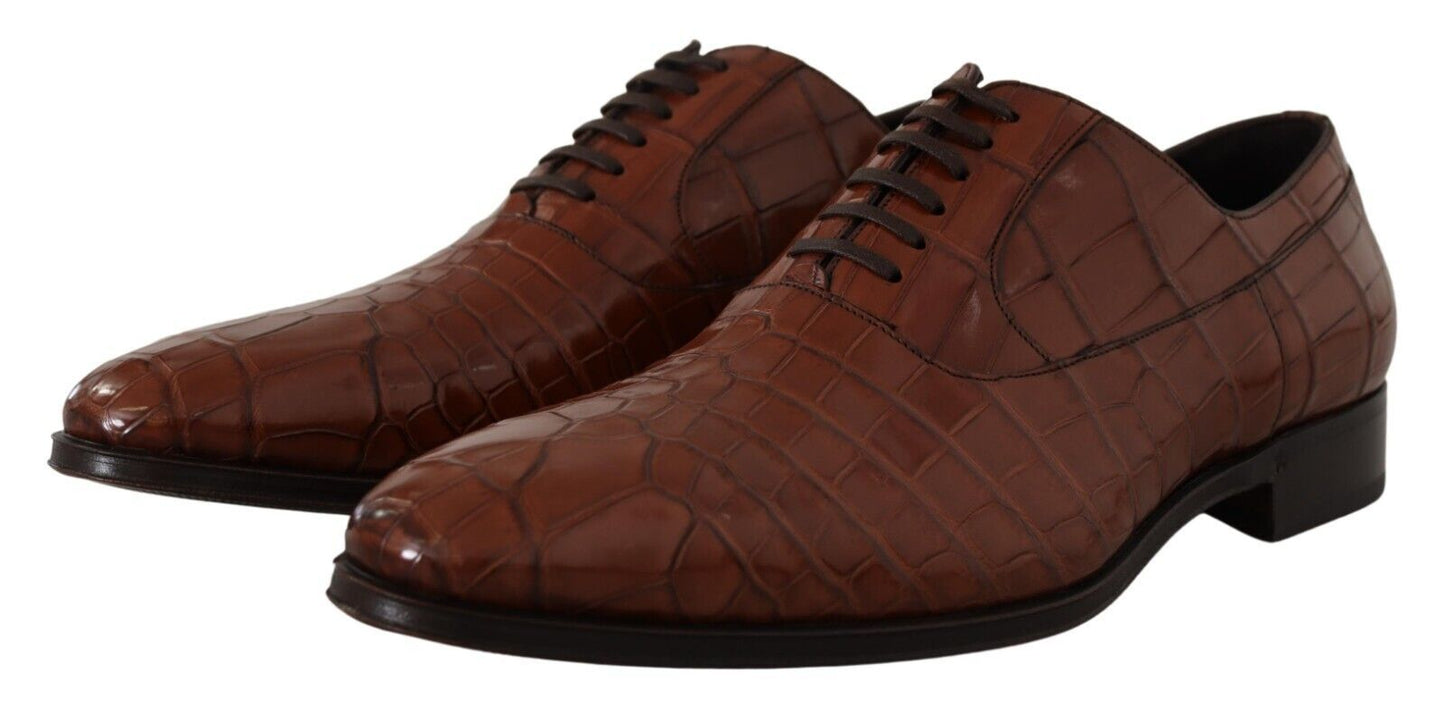 Chaussures Derby habillées pour homme en cuir de crocodile marron Dolce &amp; Gabbana