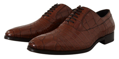 Chaussures Derby habillées pour homme en cuir de crocodile marron Dolce &amp; Gabbana
