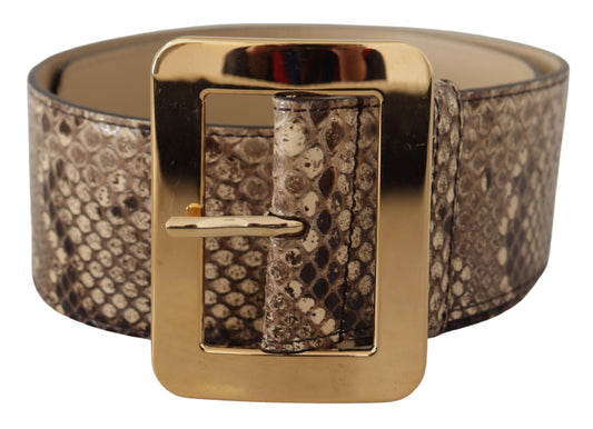 Ceinture large en cuir exotique marron Dolce &amp; Gabbana avec boucle en métal doré