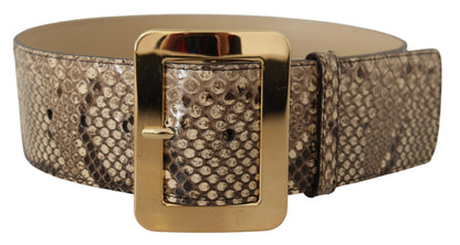 Ceinture large en cuir exotique marron Dolce &amp; Gabbana avec boucle en métal doré