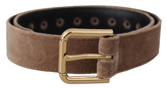 Ceinture Dolce &amp; Gabbana en velours marron clair avec logo doré et boucle en métal