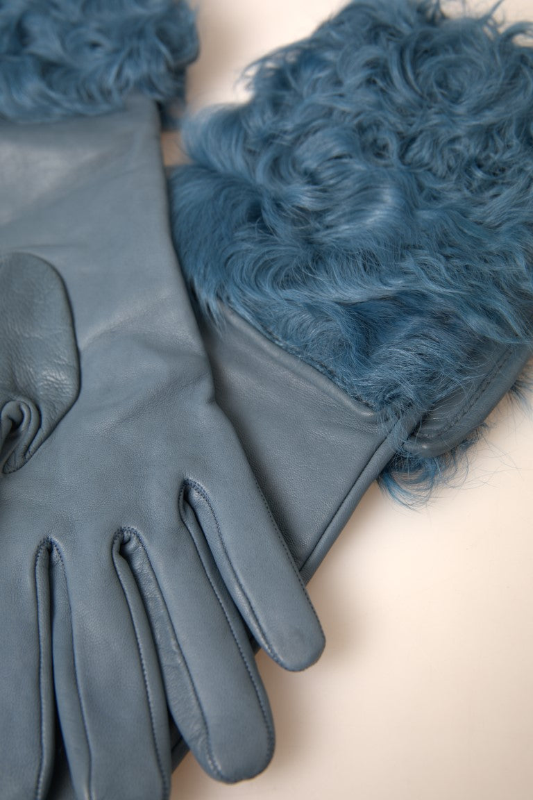 Gants mi-longs en cuir et fourrure bleus Dolce &amp; Gabbana