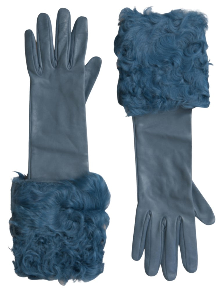 Gants mi-longs en cuir et fourrure bleus Dolce &amp; Gabbana