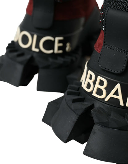 Baskets montantes Dolce &amp; Gabbana Super King bordeaux pour homme