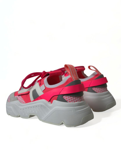 Sneakers basses Daymaster en cuir multicolore de Dolce &amp; Gabbana