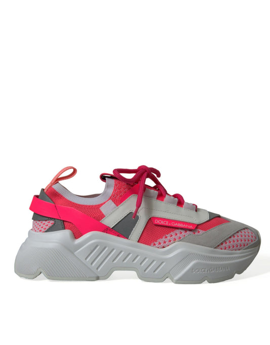 Sneakers basses Daymaster en cuir multicolore de Dolce &amp; Gabbana