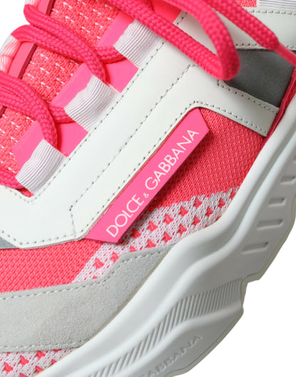Sneakers basses Daymaster en cuir multicolore de Dolce &amp; Gabbana