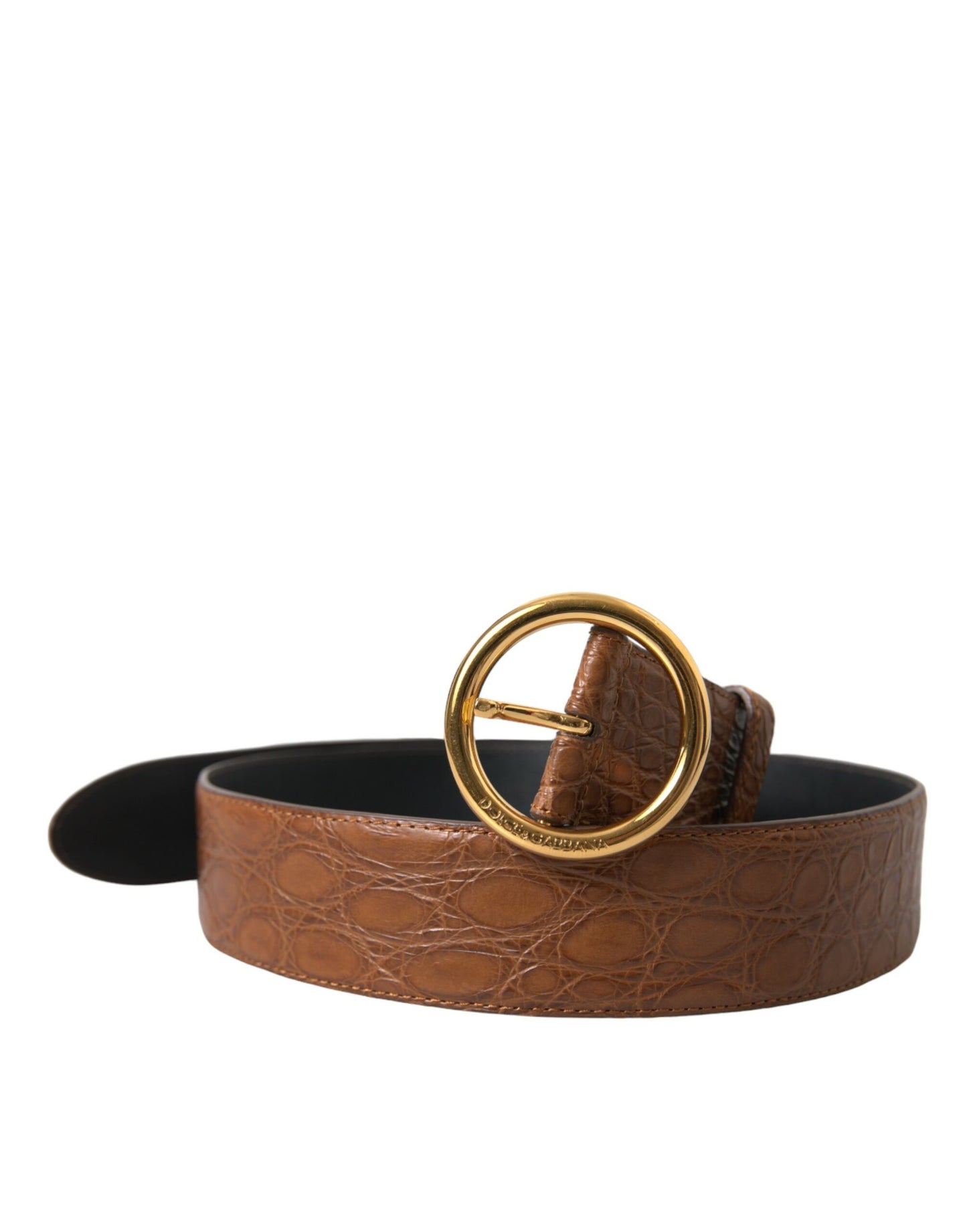 Ceinture à boucle ronde en cuir exotique marron Dolce &amp; Gabbana