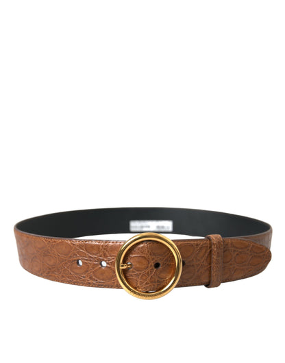 Ceinture à boucle ronde en cuir exotique marron Dolce &amp; Gabbana