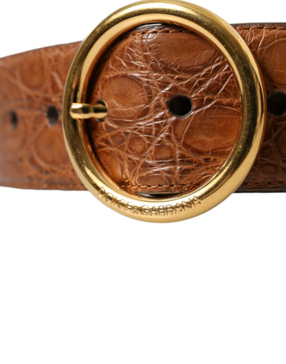 Ceinture à boucle ronde en cuir exotique marron Dolce &amp; Gabbana
