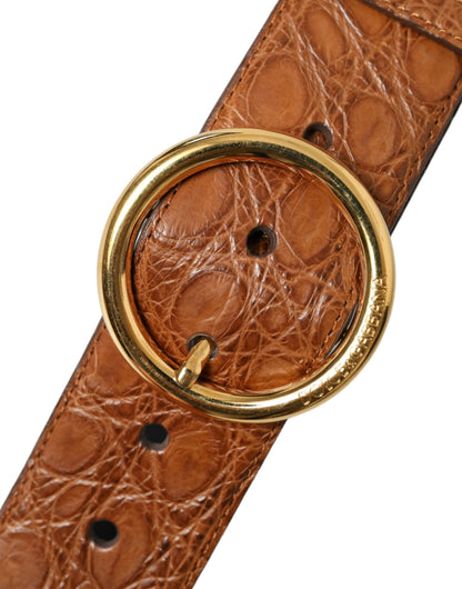 Ceinture à boucle ronde en cuir exotique marron Dolce &amp; Gabbana