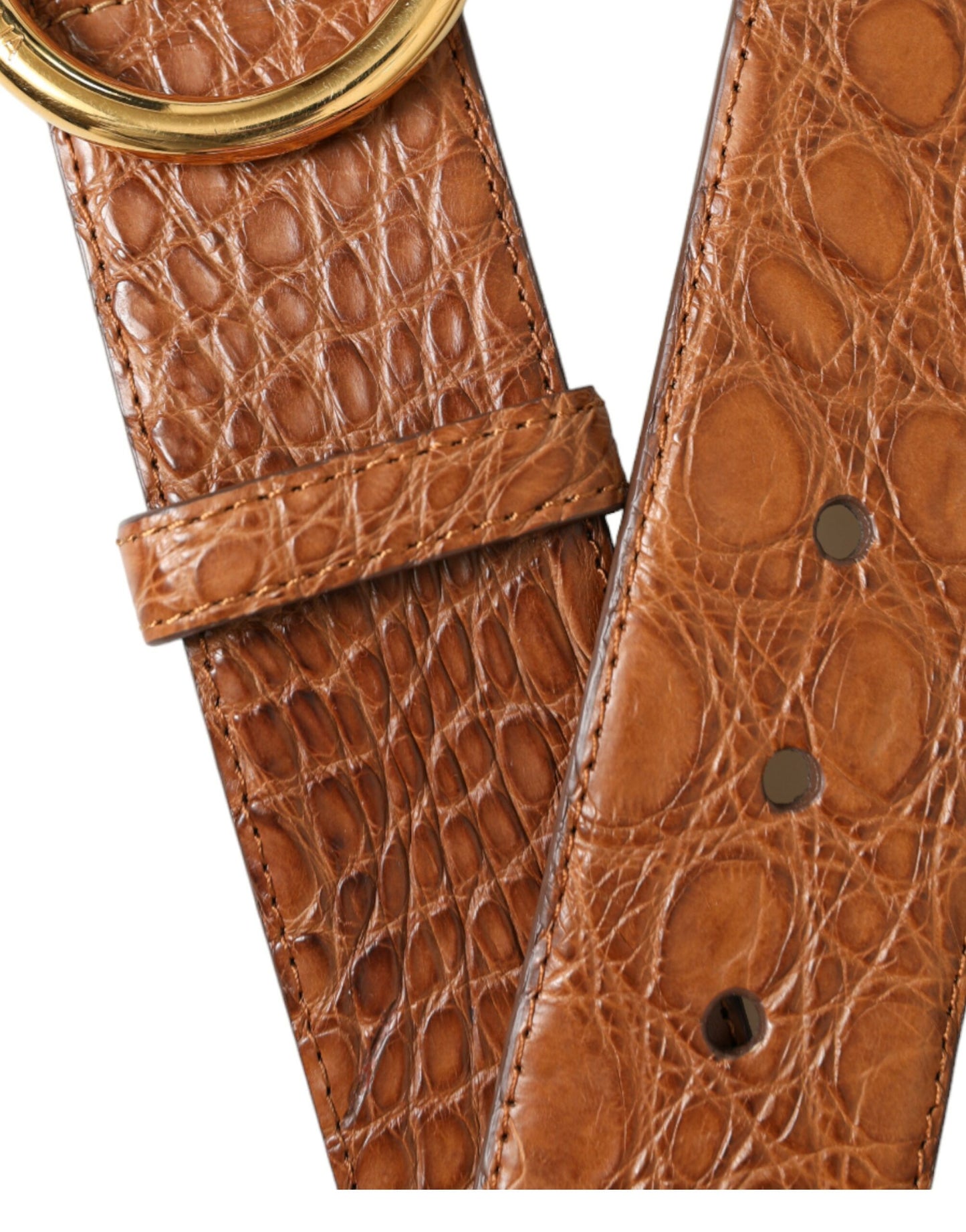 Ceinture à boucle ronde en cuir exotique marron Dolce &amp; Gabbana