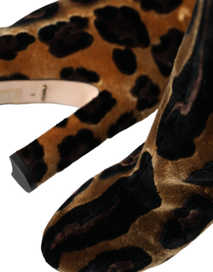 Chaussures Dolce &amp; Gabbana en cuir velours marron girafe