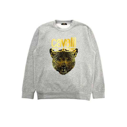 Cavalli Class Grauer Polyester Herrenpullover