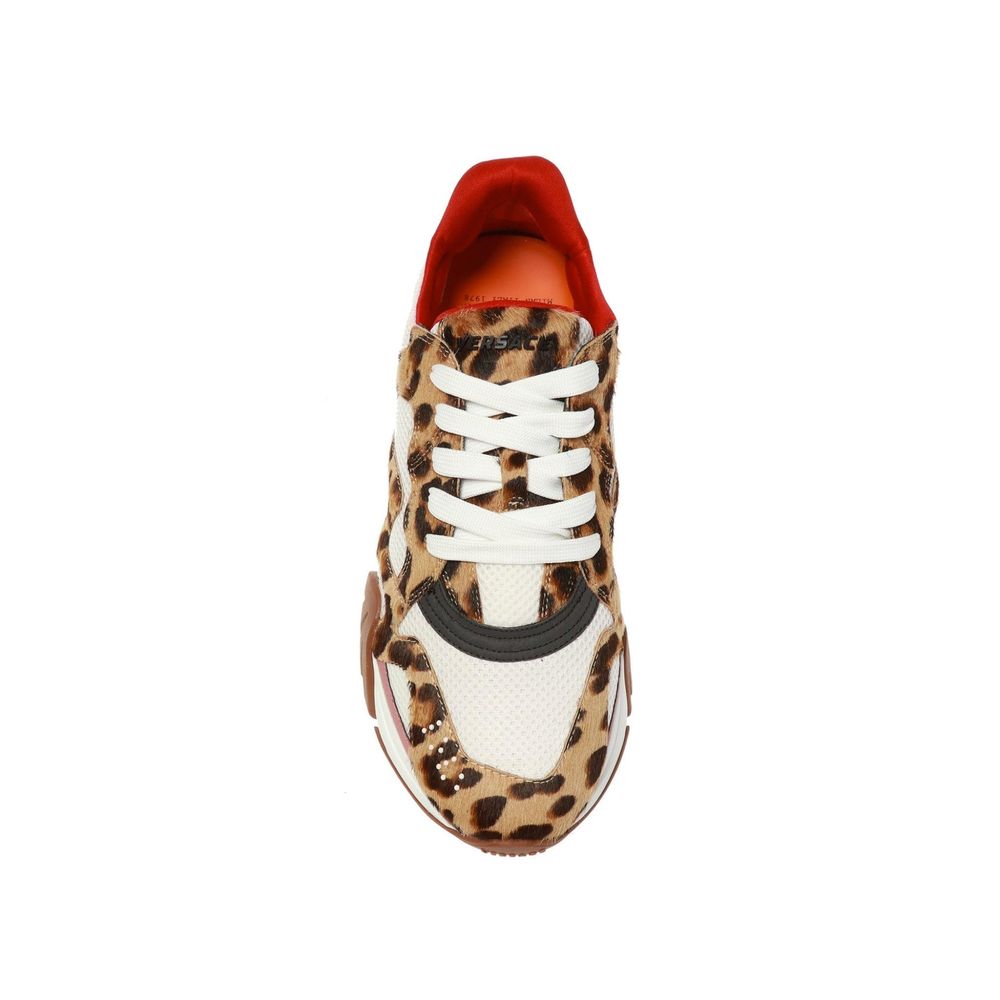 Sneakers Squalo Leopard