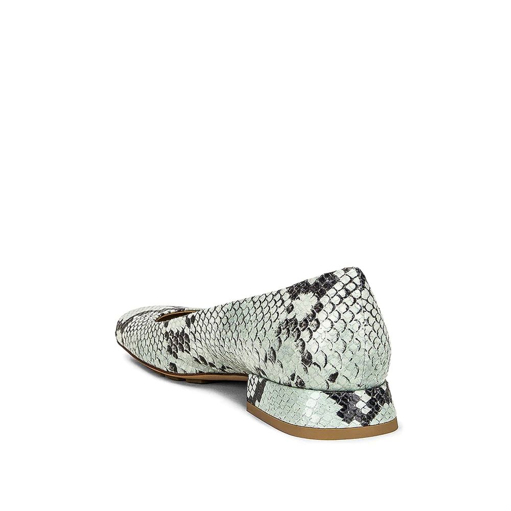 Boutures de ballerine